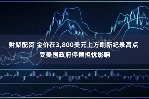 财聚配资 金价在3,800美元上方刷新纪录高点 受美国政府停摆担忧影响